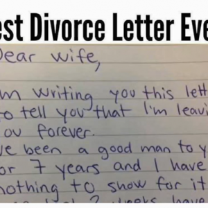 Husband Sends Divorce Letter, Wife’s Reply Leaves Everyone Speechless