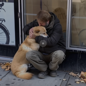 A Dog Waits Outside a Closed Store Every Day — Until a Curious Boy Follows Him