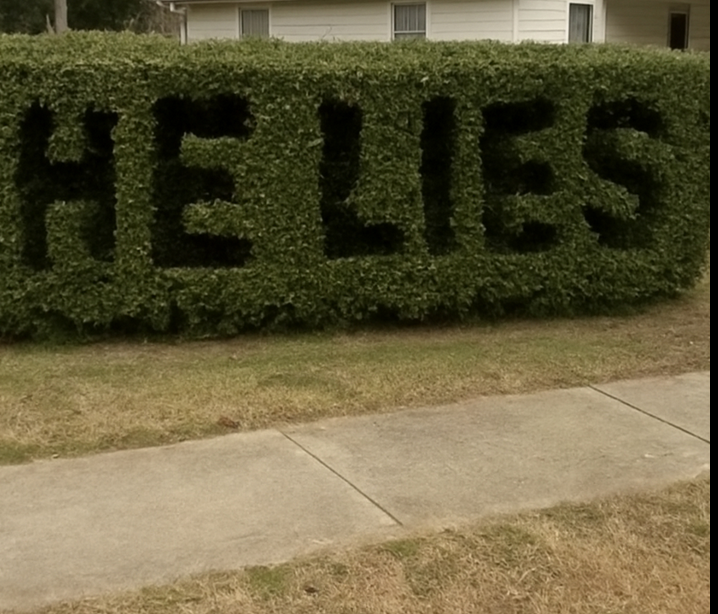 He Lies” Was Carved Into My Hedge—What I Discovered Next Shattered Me