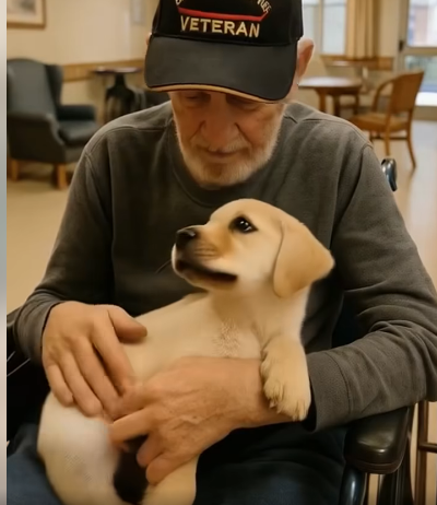 He Was Silent for Six Months—Then the Puppy Made Him Speak