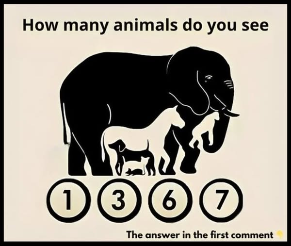 Can You Spot All the Hidden Animals in This Image