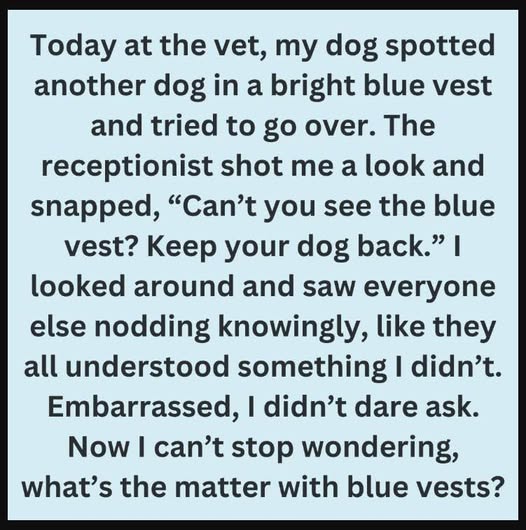 The Hidden Meaning Behind a Dog’s Blue Vest, Leash, or Bandana