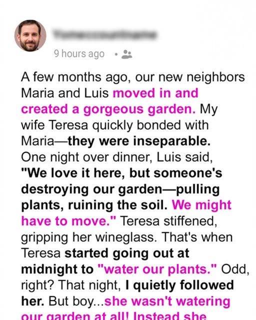 Why My Wife’s Midnight ‘Plant Watering’ Had Me Checking Twice