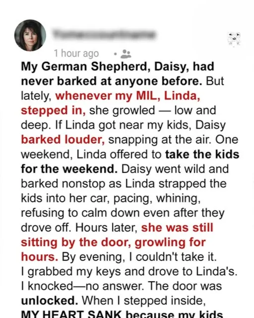 Why My Dog Howled Every Time the Kids Left with My Mother-in-Law — I Had to Find Out