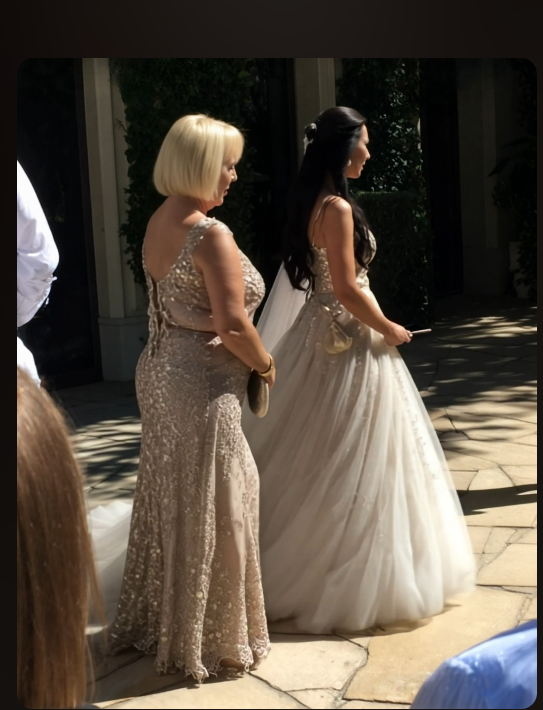 My In-Laws Secretly Canceled My Wedding — I Got the Last Laugh