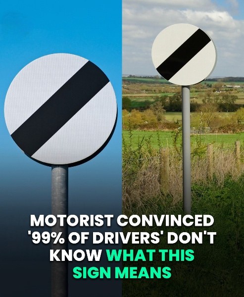 Do You Know What This Common Road Sign Really Means?