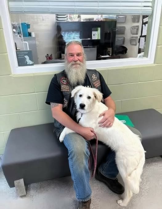 Biker Discovers Dog on Bridge Alongside a Touching Letter