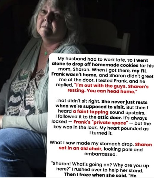 I Followed a Strange Sound in My In-Laws’ House—What I Found Changed Everything