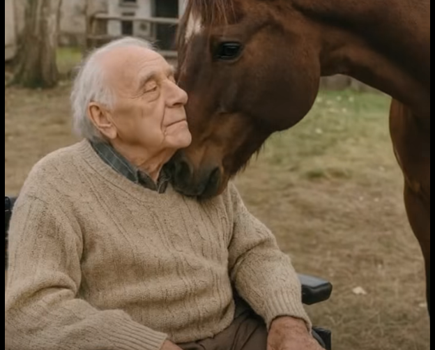 Before He Said Goodbye to His Horse, Something Truly Miraculous Happened