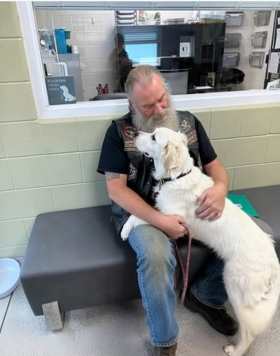 Biker Finds Abandoned Dog at 3 AM — What Happened Next Changed a Family