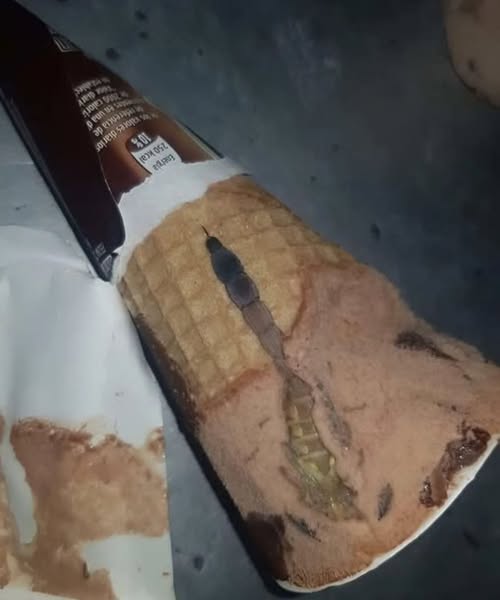 She Discovered an Unexpected Surprise in Her Ice Cream