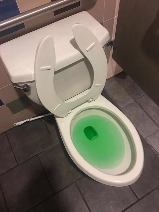 A Practical Household Trick for Clearing a Toilet Without a Plunger