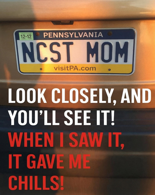 A Closer Look at a License Plate and the Unexpected Detail It Shows