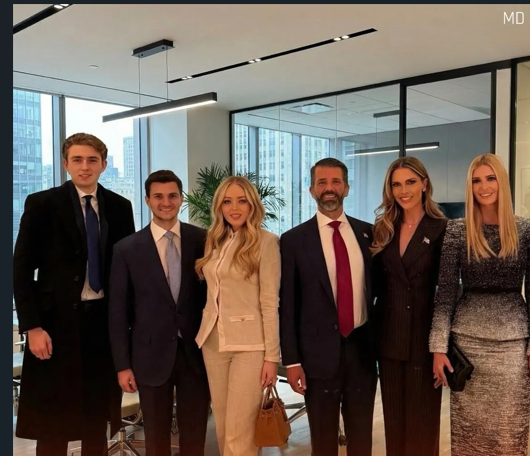 Noticeable Detail in Trump Family Photo Sparks Online Conversation