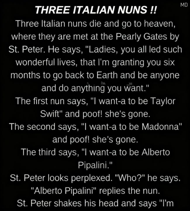 A Lighthearted Story That Gently Reminds Us What True Happiness Means