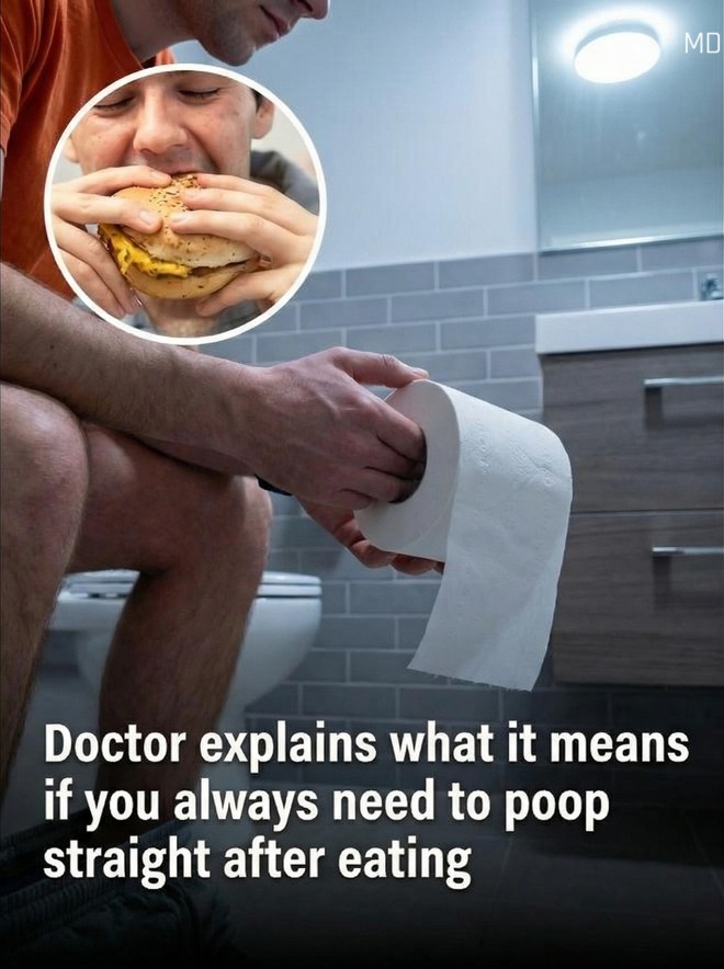 Understanding Why You May Feel the Urge to Use the Bathroom After Eating