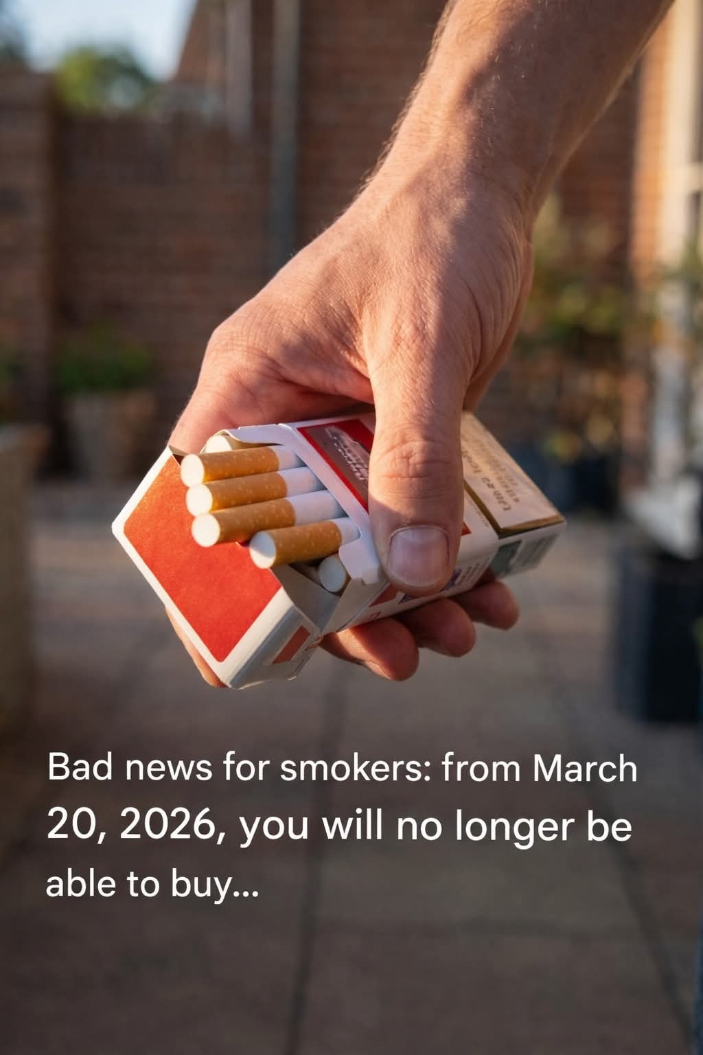 How Government Policies and Taxes Influence Cigarette Prices Nationwide