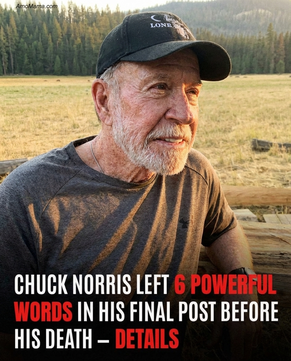 Recent News About Chuck Norris at 86 Draws Widespread Attention