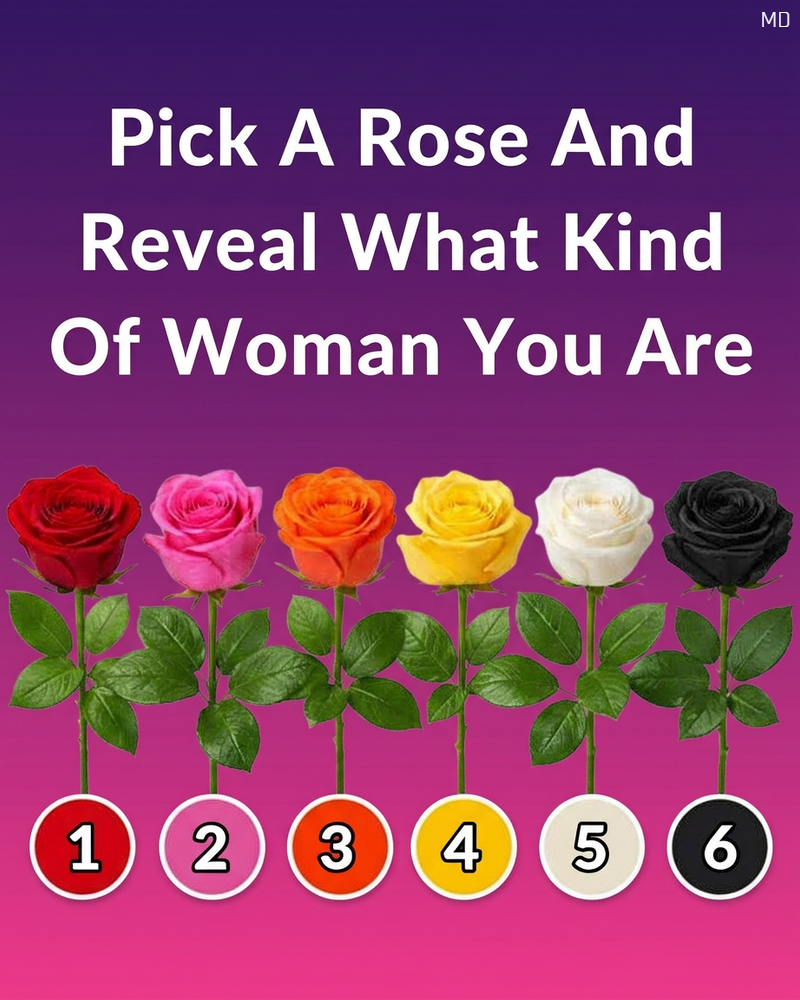 Pick a Rose to Reveal Your Unique Personality