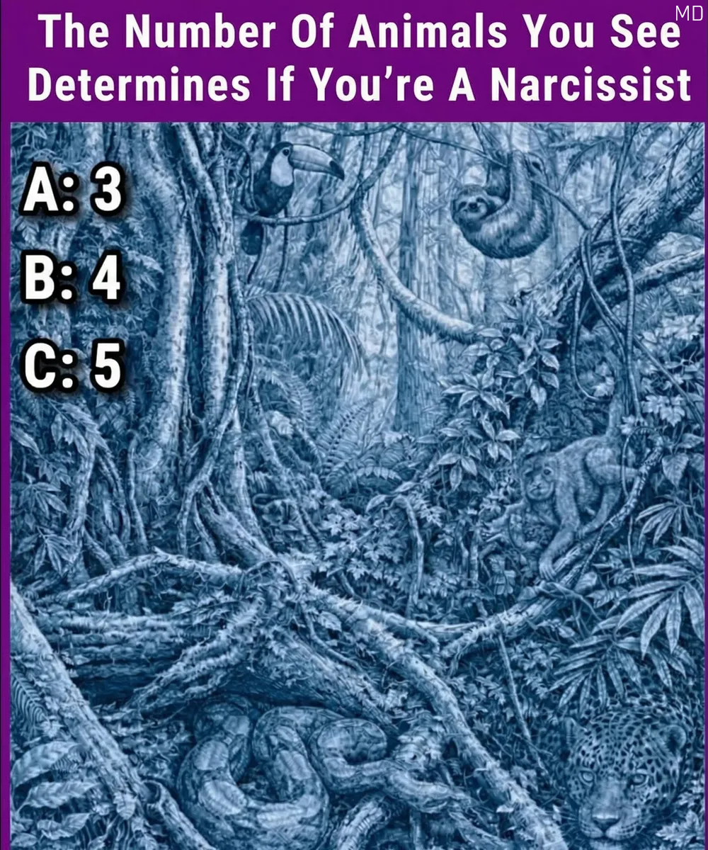 How Many Animals Can You Spot? A Fun Optical Illusion Challenge