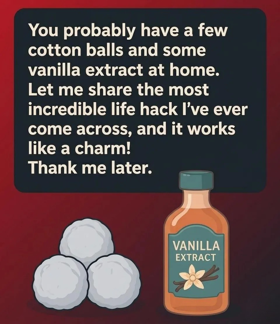 Using Vanilla to Create a Clean and Pleasant Fridge Environment