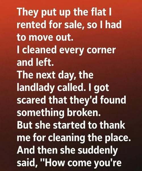 How Leaving My Apartment in Great Condition Led to an Unexpected Call