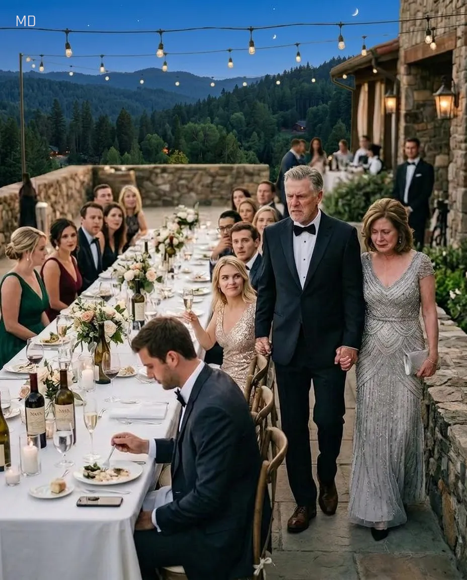 My Wife Was Disrespected at Dinner — So I Quietly Took Action That Changed Everything